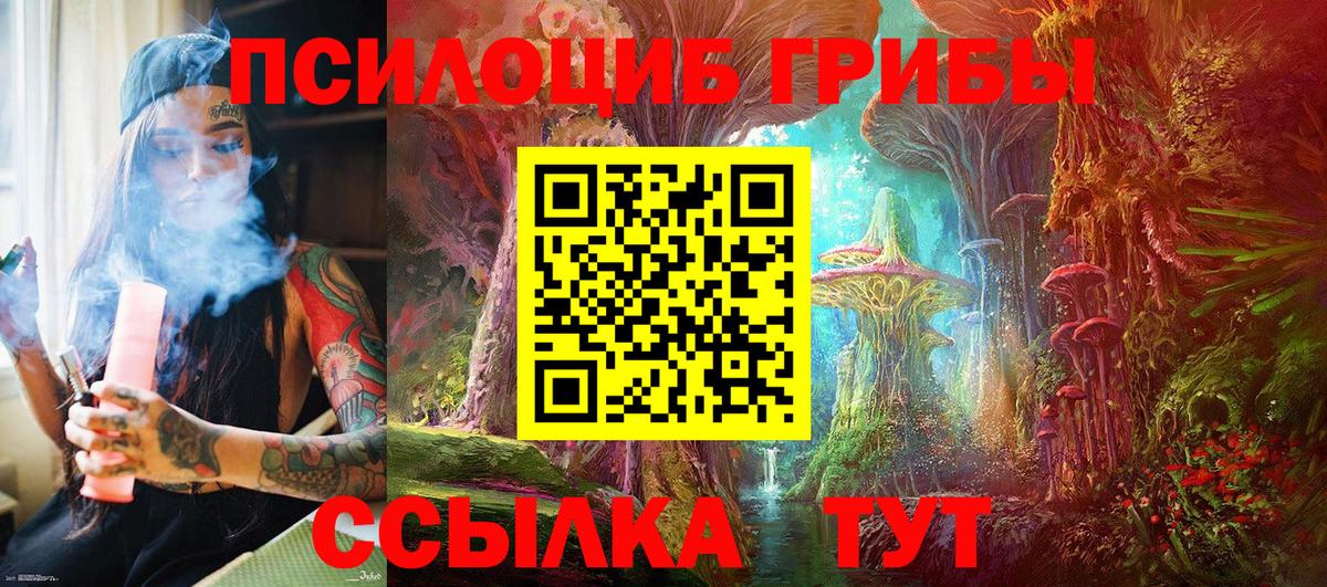 Псилоцибиновые грибы мухоморы Азнакаево